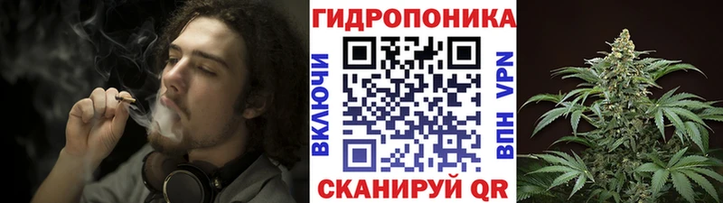 Бошки марихуана ГИДРОПОН  Великие Луки 